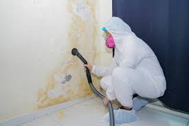 Best Water Damage & Mold Remediation  in Beaufort, NC